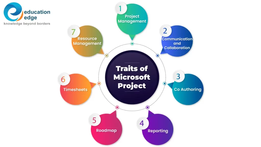 Infographic outlining the key traits of Microsoft Project. 