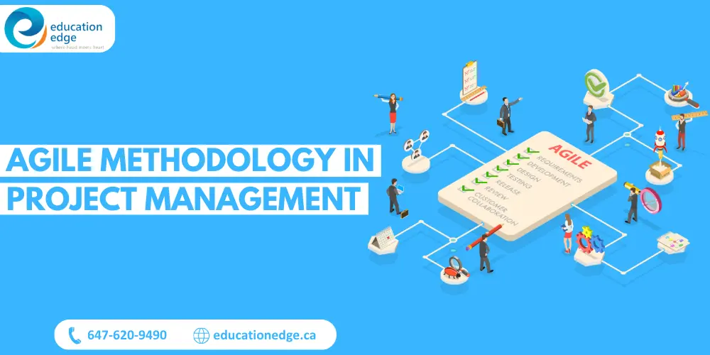 Infographic illustrating the agile methodology in project management, highlighting key stages such as requirements, development, design, testing, release, review, and customer collaboration.