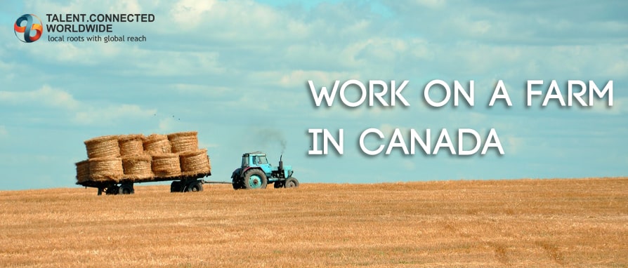 Work on a Farm in Canada
