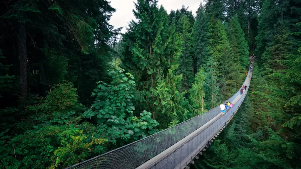 Capilano Suspension Bridge 