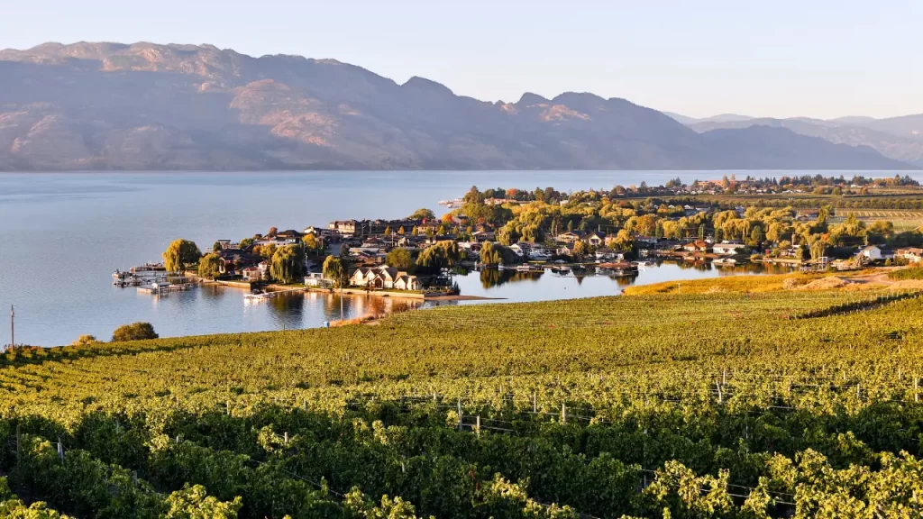 5. Okanagan Valley