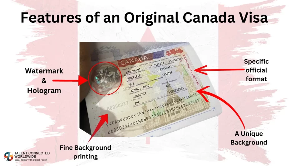 Identify a Fake Visa with These Easy Steps by a CICC Expert! 2 Features-of-an-Original-Canada-Visa