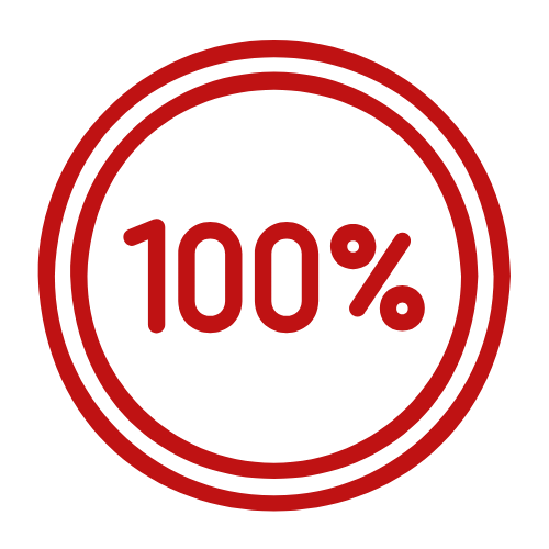 100 client satisfaction